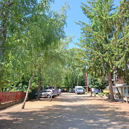 Lelle * 巴拉通雷勒