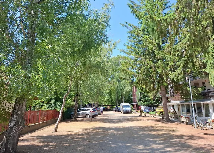 Lelle * 巴拉通雷勒